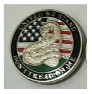 PATRIOTIC CONCHO - Bling in the Ring